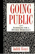 GOING PUBLIC:SCHOOLING FOR A DIV<em>E</em>RS<em>E</em> D<em>E</em>MOCRACY
