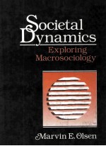 SOCIETAL DYNAMICS <em>EXPLORING</em> MACROSOCIOLOGY