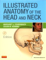 ILLUSTRATED ANATOMY <em>OF</em> <em>THE</em> HEAD AND NECK 4TH <em>EDITION</em>
