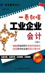 一看就懂工业企业会计  图解版