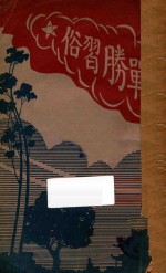 战胜习俗  创作小说集
