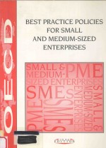 BEST <em>PRACTICE</em> POLICIES FOR SMALL <em>AND</em> MEDIUM-SIZED ENTERPRISES