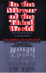 <em>IN</em> THE MIRROR <em>OF</em> THE THIRD WORLD