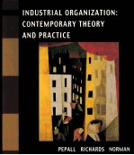 INDUSTRIAL ORGANIZATION:CONTEMPORARY <em>THEORY</em> <em>AND</em> <em>PRACTICE</em>