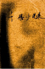 <em>张小</em>娴千禧小说集