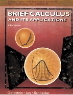 <em>BRIEF</em> CALCULUS AND ITS APPLICATIONS FIFTH <em>EDITION</em>