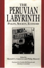 <em>THE</em> PERUVIAN LABYRINTH:POLITY