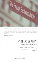 外汇交易矩阵  理解汇率波动的新框架
