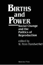 BIRTHS AND PO<em>W</em>ER:SOCIAL CHANGE AND THE POLITICS OF REPRODUCTION