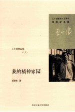<em>王小</em>波精品集  我的精神家园  特别纪念版