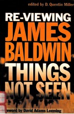 RE-VIEWING JAMES <em>BA</em>LDWIN:THINGS NOT SEEN