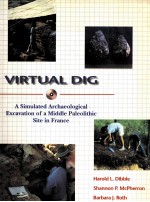 VIRTUAL DIG:A SIMULATED ARCHAEOLOGICAL EXCAVATION OF A MIDDLE <em>P</em>ALEOLITHIC SITE IN FRANCE