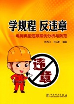 学规程  反违章  电网典型违章案例分析<em>与</em>防范