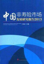 中国非寿险<em>市场</em>发展研究报告  2013