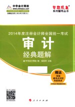 注册会计师全国统一考试“梦想成真”系列辅导丛书  审计经典题解