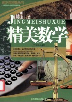 青少年科普丛书  精美数学