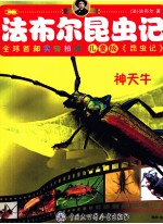 <em>法</em>布尔昆虫记  神天牛  儿童版