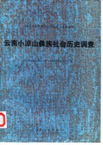 云南小凉山彝族社会历史调查