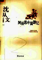 阿丽思中国游记