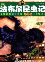 <em>法</em><em>布尔</em>昆虫记  蝎子  儿童版