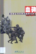 血碑  震撼全球的两次世界大战