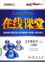 在线课堂  化学  九年级  下  人教版