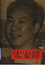 广西当代作家丛书  宋安群卷