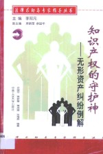 知识产权的守护神  无形资产纠纷例解