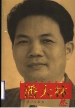 广西当代作家丛书  潘<em>大林</em>卷