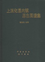 上消化道内镜原色图谱集