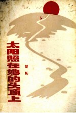 太阳照在她的头顶上  诗集