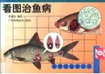 看图治鱼病