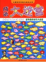 成语大迷宫