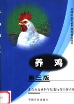 养鸡  第3版