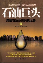 石油巨头  跨国石油公司兴衰之路  下