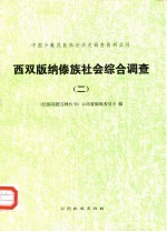 西双<em>版纳</em>傣族社会综合调查  2