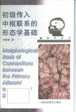 初级传入中枢联系的形态学基础