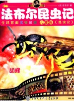 法布尔昆虫记  胡蜂  儿童版
