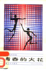 青春的火花