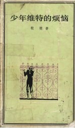 少年维特的烦恼  修订本