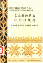 <em>文山</em>壮族苗族自治州概况