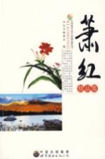 萧红<em>精品</em><em>集</em>