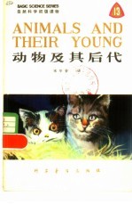动物及其后代  英汉对照