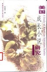 美国成长小说研究