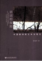语词的探险  中国新诗的文本与现实