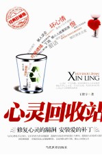 心灵回收站  修复心灵的漏洞  安装爱的补丁  经典珍藏版