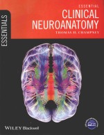 ESSENTIAL CLINICAL NEU<em>R</em>OANATOMY
