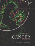 <em>THE</em> BIOLOGY <em>OF</em> CANCER <em>SECOND</em> <em>EDITION</em>