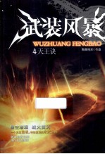 武装风暴  4  天王诀