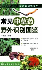 常见中草药野外<em>识别</em><em>图鉴</em>